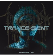 Hexagonsound - Trance-sient