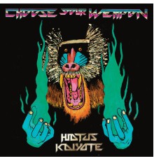 Hiatus Kaiyote - Choose Your Weapon