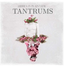 Hidden In Plain View - Tantrums