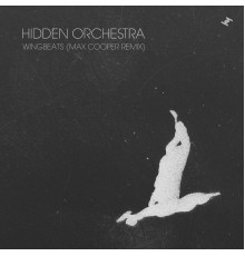 Hidden Orchestra - Wingbeats (Max Cooper Remix)