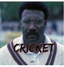 HmxGod - Cricket