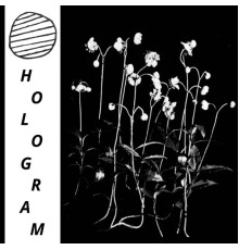 Hologram - Build Yourself Up So Many Times Only To Be Brought Down Again And Again