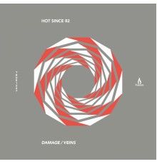 Hot Since 82 - Damage / Veins