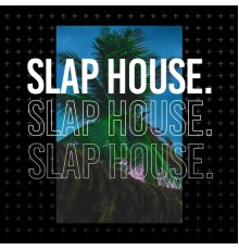 House Music - Slap House