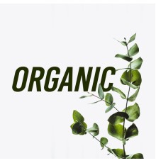 House Music - Organic