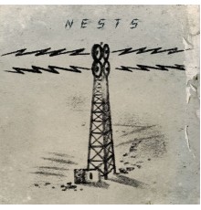 Howard Stelzer &  Nerve Net Noise - Nests