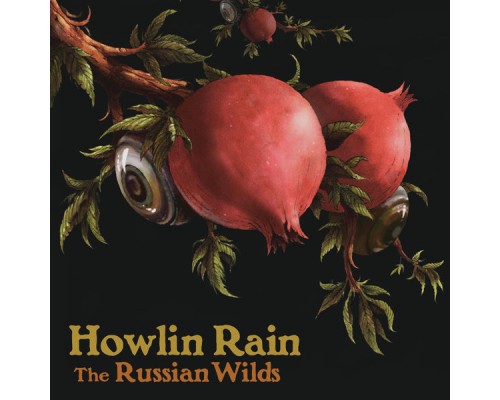 Howlin Rain - The Russian Wilds