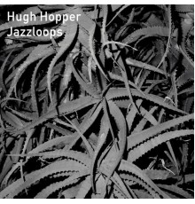 Hugh Hopper - Jazzloops