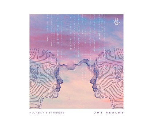 Hujaboy and Striders - Dmt Realms
