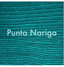 Huma - Punta Nariga