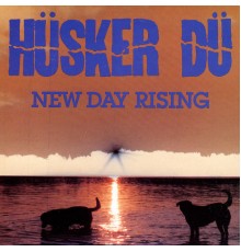 Hüsker Dü - New Day Rising