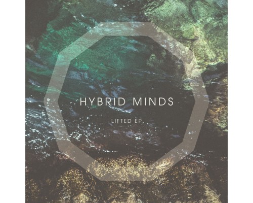 Hybrid Minds - Lifted