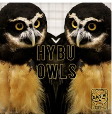 Hybu - Owls EP