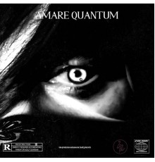 INHO - Amare quantum