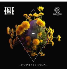 INI - Expressions