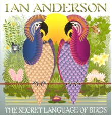 Ian Anderson - The Secret Language Of Birds