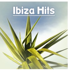 Ibiza 2017 - Ibiza Hits – Best Chill Out Music, Sounds for Party, Beach Dancefloor, Hot Moves