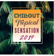 Ibiza Lounge Club, Chillout, Ibiza Chill Out - Chillout Tropical Sensation 2019 – Selection of Most Relaxing Top Chill Out Music, Vacation Beats, Beach Time Under The Palms, Positive Vibes, Summer Beach Bar
