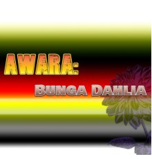 Ida Laila - Awara: Bunga Dahlia