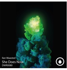 Ilan Waasted - She Does Now