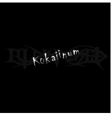 Illdisposed - Kokaiinum