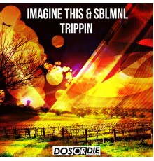 Imagine This & Sblmnl - Trippin