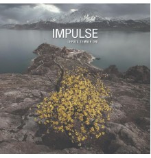 Impulse - Lepota Temnih Dni