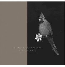 In Angles - Cardinal: Instrumental