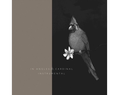 In Angles - Cardinal: Instrumental