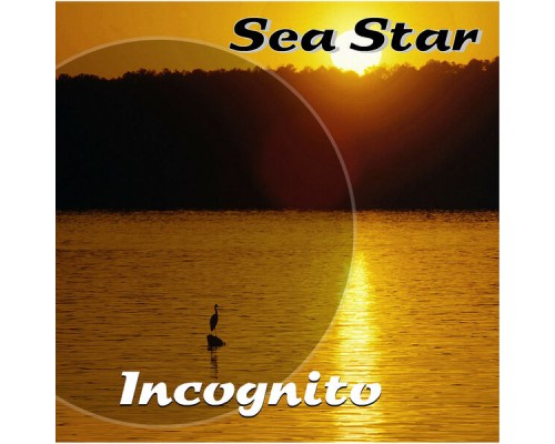 Incognito - Sea Star