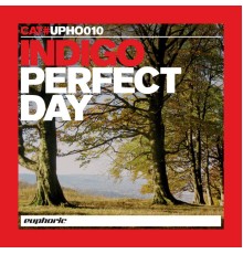 Indigo - Almighty Presents: Perfect Day