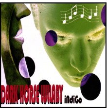 Indigo - Dark Horse Lullaby