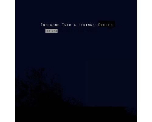 Indigone Trio and Strings - Cycles