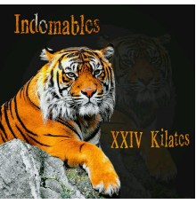 Indomables - XXIV Kilates