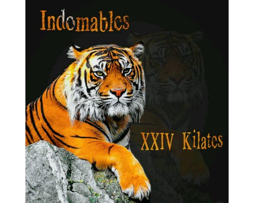 Indomables - XXIV Kilates