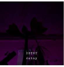 Infinite Calm & Peter Ries - Dstny