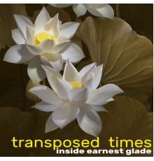 Inside Earnest Glade - Transposed Times