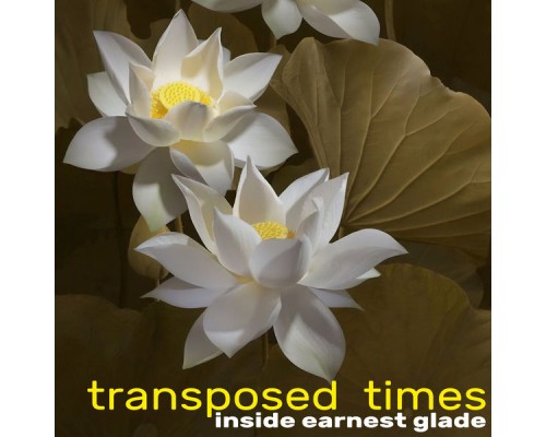 Inside Earnest Glade - Transposed Times