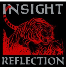 Insight - Reflection