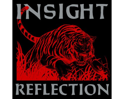 Insight - Reflection