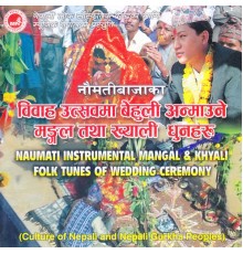 Instrumental - Bibaha Utsav Dhun