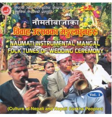 Instrumental - Bibaha Utsav Ka Mangal Dhun-I
