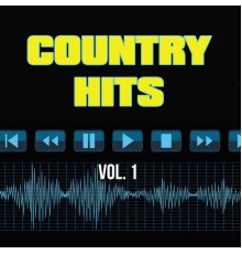 Instrumentals - Country Hits, Vol. 1