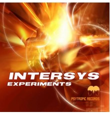 InterSys - Experiments