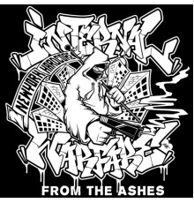 Internal Warfare - From The Ashes