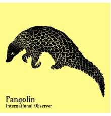 International Observer - Pangolin