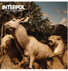 Interpol - Our Love To Admire