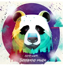 Intoxikated Panda - ARCTIC NIGHTS