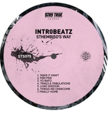 Intr0beatz - Sthembiso's Way