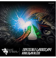 Invisible Landscape - Hooligan Bliss